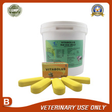 Medicamentos Veterinarios de Multivitaminas Bolus 18g